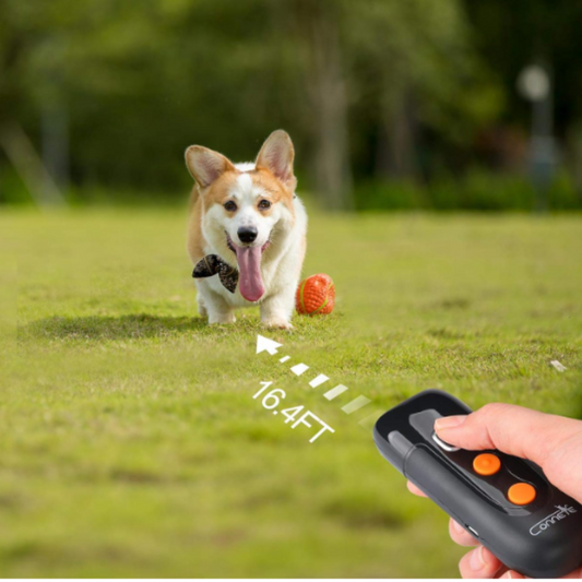 BarkCalm Pro™ - Anti-Bark Ultrasonic Training Device